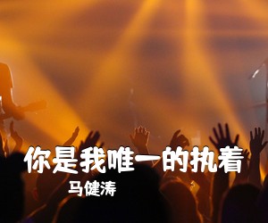 马健涛《你是我唯一的执着吉他谱》(C调)