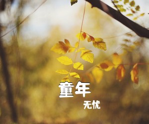 无忧《童年吉他谱》(G调)