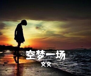 文文《空梦一场吉他谱》(G调)