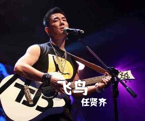 任贤齐《飞鸟吉他谱》