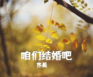 齐晨《咱们结婚吧吉他谱》(G调)