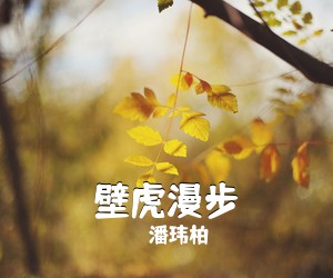 潘玮柏《壁虎漫步吉他谱》(m调)