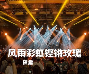 田震《风雨彩虹铿锵玫瑰吉他谱》(C调)