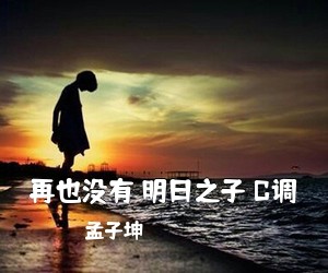 孟子坤《再也没有 明日之子 C调吉他谱》(C调)