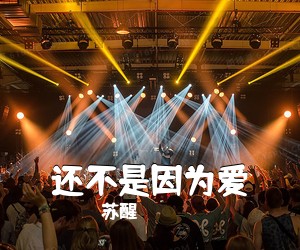 苏醒《还不是因为爱吉他谱》(A调)