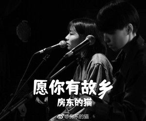 房东的猫《愿你有故乡吉他谱》(C调)