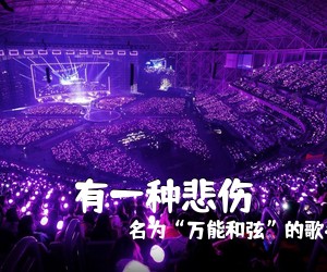 名为“万能和弦”的歌手《有一种悲伤吉他谱》(G调)