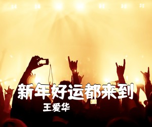 王爱华《新年好运都来到简谱》