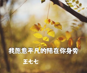 王七七《我愿意平凡的陪在你身旁吉他谱》(C调)