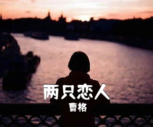 曹格《两只恋人吉他谱》(A调)