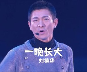 刘德华《一晚长大吉他谱》(F调)