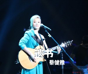 蔡健雅《遗书吉他谱》(C调)