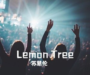 苏慧伦《Lemon Tree吉他谱》(C调)