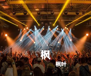 枫叶《枫吉他谱》(C调)