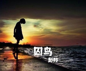 彭羚《囚鸟吉他谱》(C调)