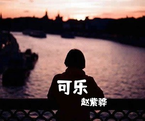 赵紫骅《可乐吉他谱》(C调)