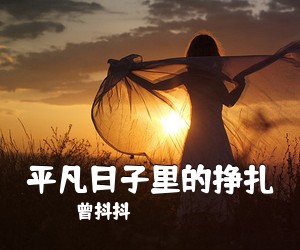 曾抖抖《平凡日子里的挣扎吉他谱》(G调)