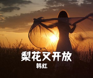 韩红《梨花又开放吉他谱》(C调)