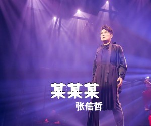 张信哲《某某某吉他谱》(D调)