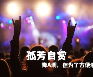 降A调，但为了方便演奏和《孤芳自赏吉他谱》(G调)