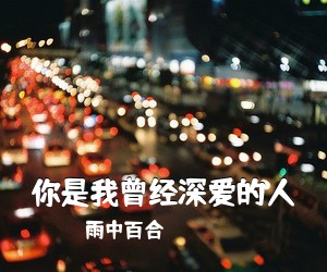 雨中百合《你是我曾经深爱的人简谱》