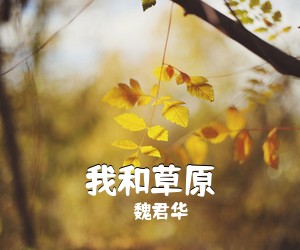 魏君华《我和草原简谱》