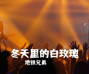 地铁兄弟《冬天里的白玫瑰简谱》