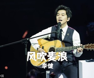 李健《风吹麦浪吉他谱》