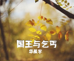 华晨宇《国王与乞丐吉他谱》(G调)