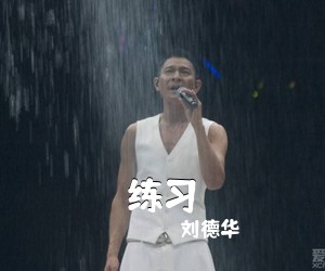 刘德华《练习吉他谱》(G调)