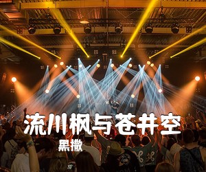 黑撒《流川枫与苍井空吉他谱》