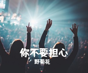 野菊花《你不要担心吉他谱》(G调)