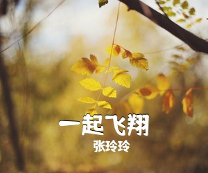 张玲玲《一起飞翔简谱》