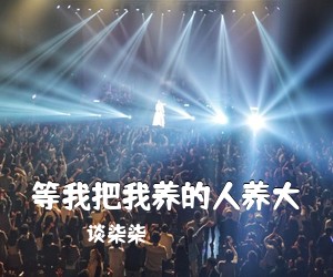 谈柒柒《等我把我养的人养大吉他谱》(C调)