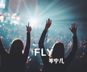 岑宁儿《FLY吉他谱》(C调)
