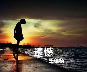 王佳杨《遗憾吉他谱》(C调)