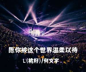 L(桃籽)/何文宇《愿你被这个世界温柔以待吉他谱》(G调)