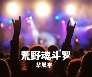 华晨宇《荒野魂斗罗吉他谱》(C调)