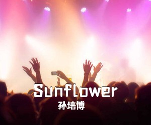 孙培博《Sunflower吉他谱》