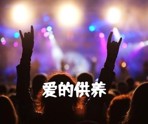《爱的供养吉他谱》(C调)