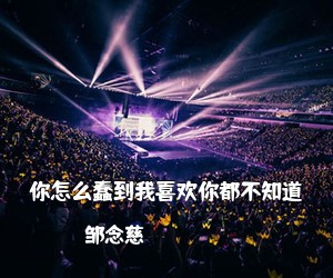 邹念慈《你怎么蠢到我喜欢你都不知道吉他谱》(C调)