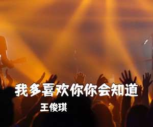王俊琪《我多喜欢你你会知道吉他谱》(C调)