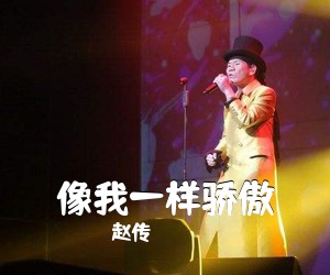 赵传《像我一样骄傲吉他谱》(D调)