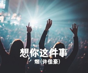 烟(许佳豪)《想你这件事吉他谱》(C调)