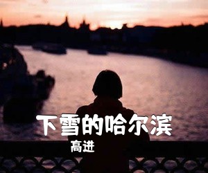 高进《下雪的哈尔滨吉他谱》(C调)