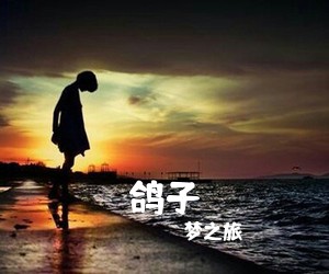 梦之旅《鸽子简谱》