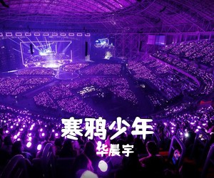 华晨宇《寒鸦少年吉他谱》(F调)