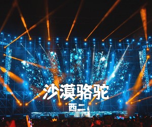 西二《沙漠骆驼吉他谱》(C调)