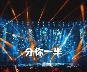 《分你一半吉他谱》(G调)