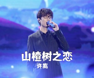 许嵩《山楂树之恋吉他谱》(C调)
